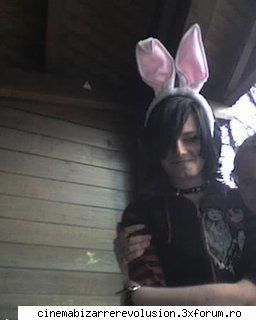 inceput play bunny &nbsp;